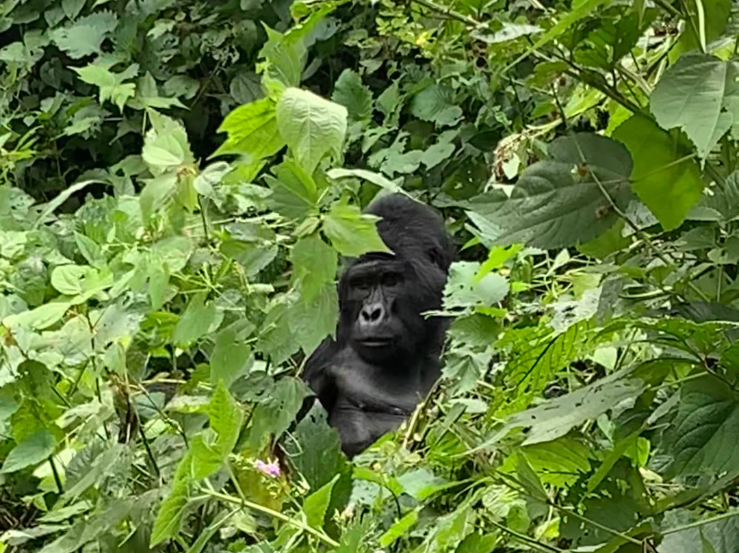 Kyobe Safaris-Masaka必去景点