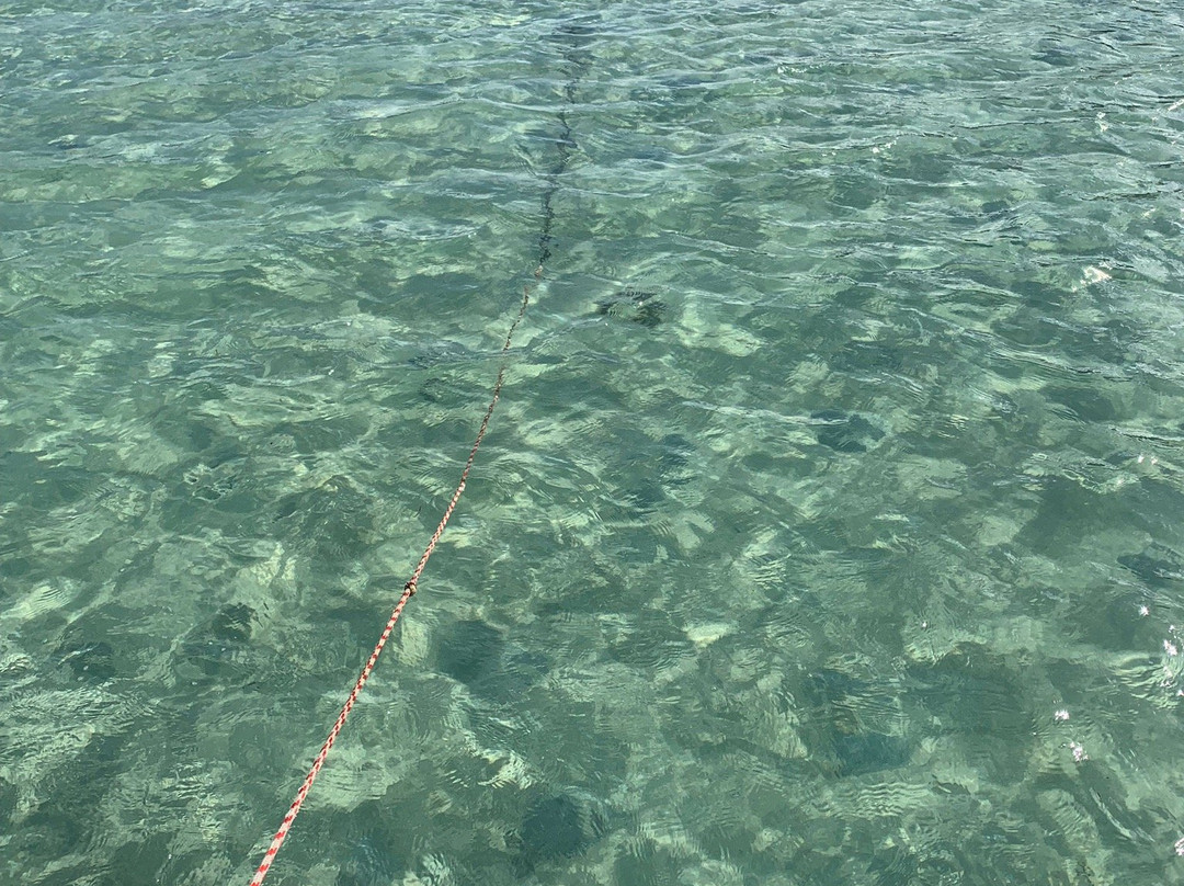 CaptainManou Excursions Nautiques-Le Robert必去景点