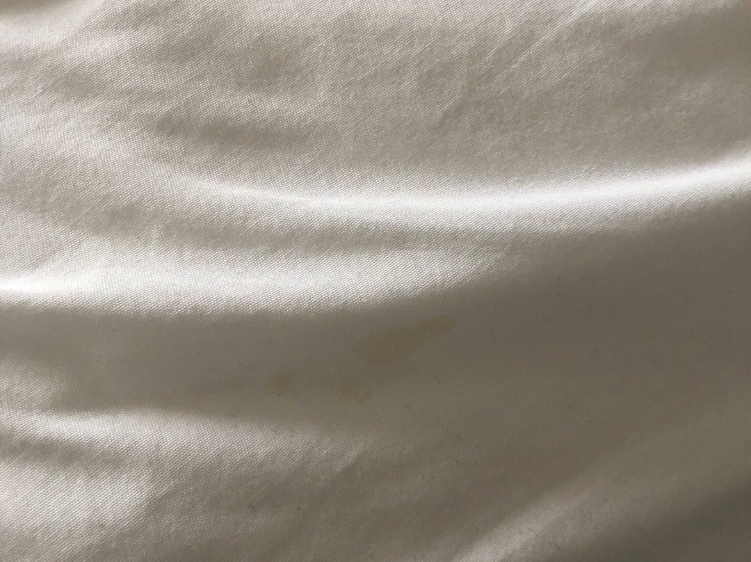 伯灵顿希尔顿逸林酒店主图