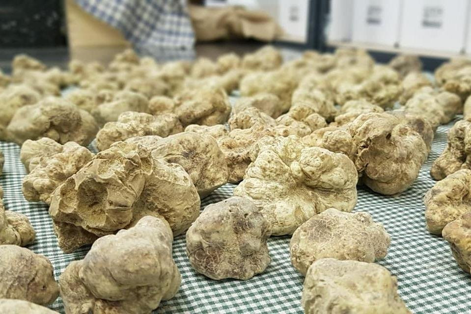 Gold Istra景点图片