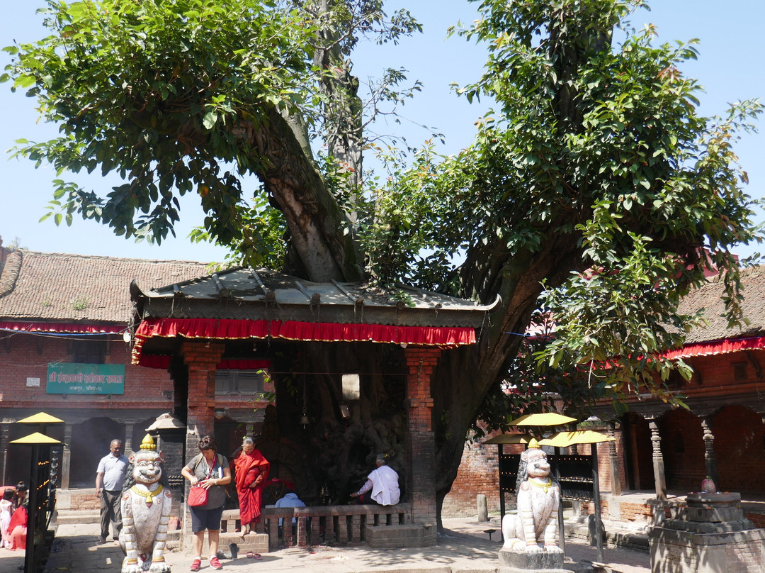 Indrayani Temple-巴克塔布必去景点