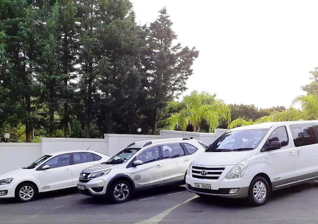 Wolf Shuttles-开普敦中心区必去景点