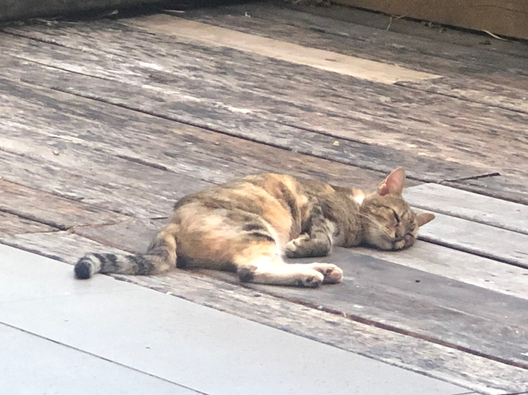 棕榈绿洲度假酒店主图