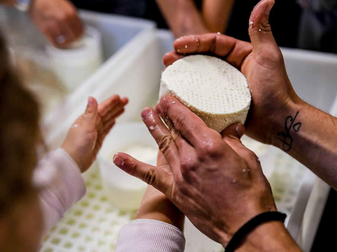 Agriturismo Le Due Querce主图