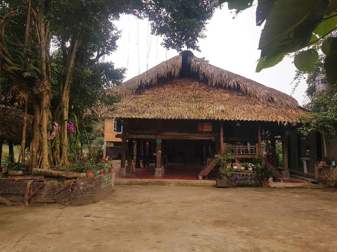 Vu Linh Homestay