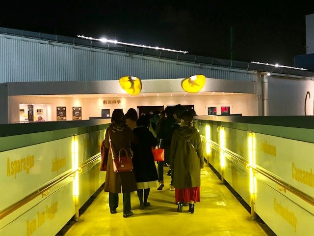 Cats Theater-品川区必去景点