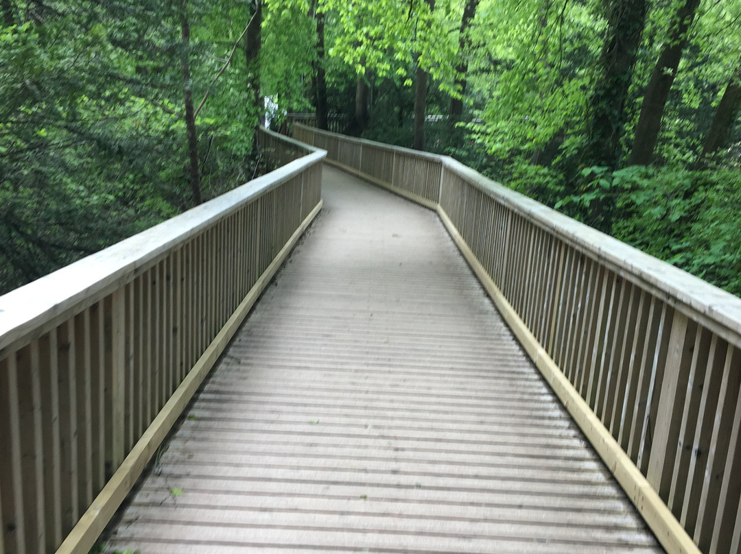 Symonds Yat Rock-Coleford必去景点