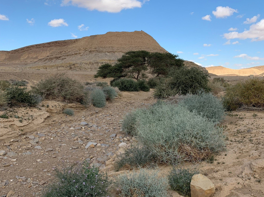 Beresheet Desert Tours-米茨佩拉蒙必去景点