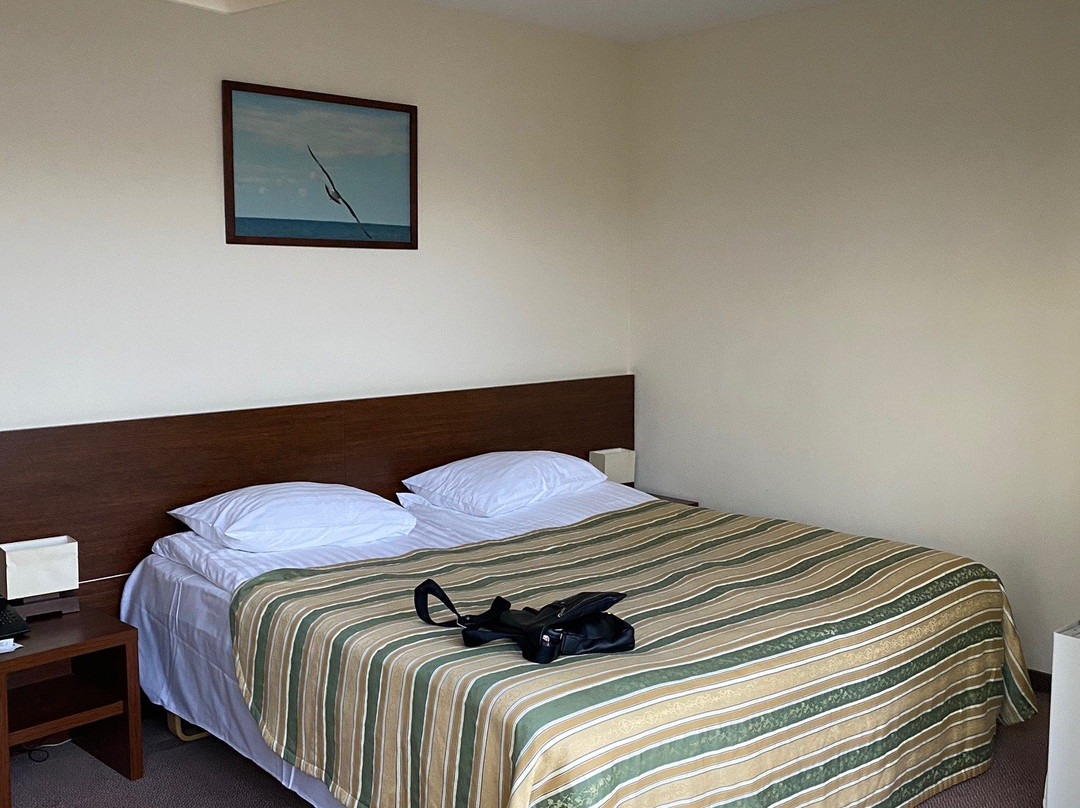 Palangos Vetra主图