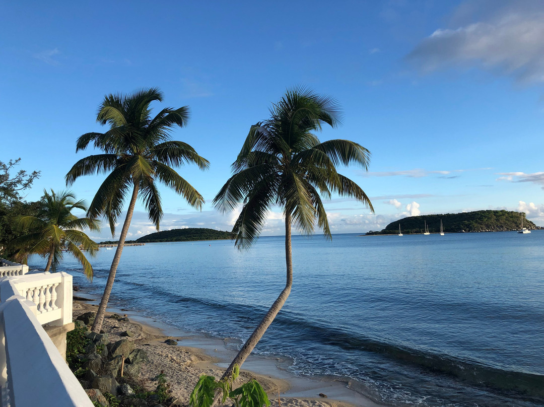 Trade Winds Guesthouse主图