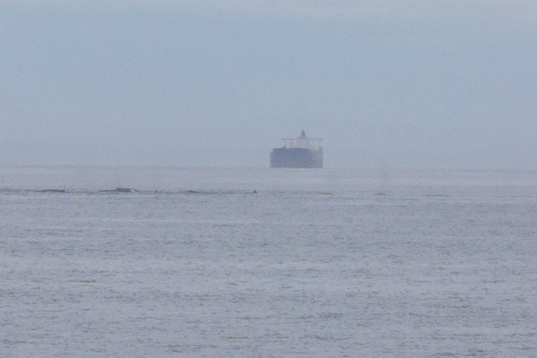 Stompneus Point Lighthouse景点图片
