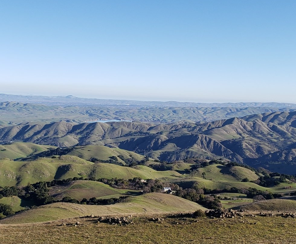 Mission Peak Regional Preserve景点图片