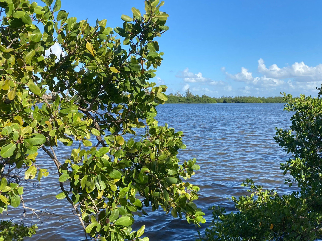 Parque Recreativo La Esperanza-Catano必去景点