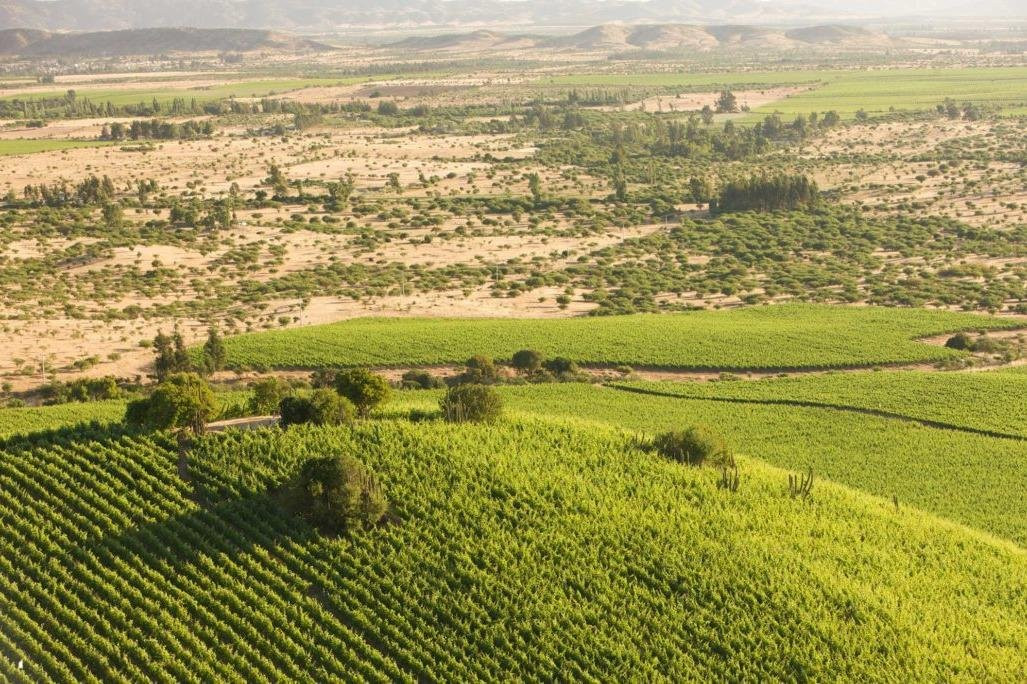 Polkura Syrah, Colchagua-Marchihue必去景点