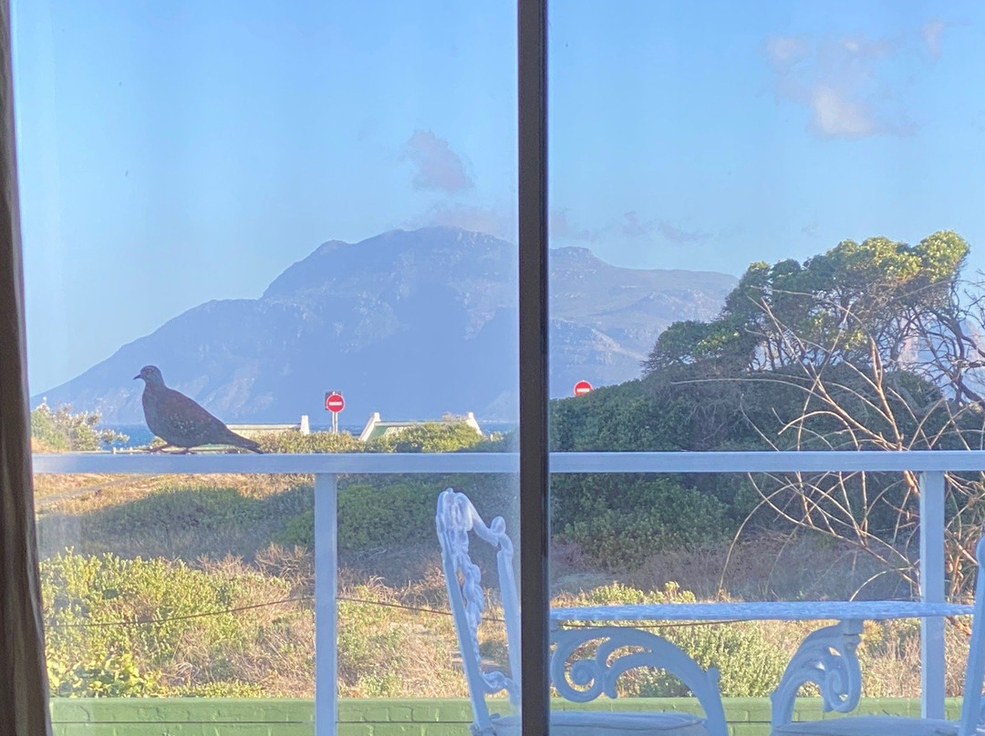 Guinea Fowl House B&B主图