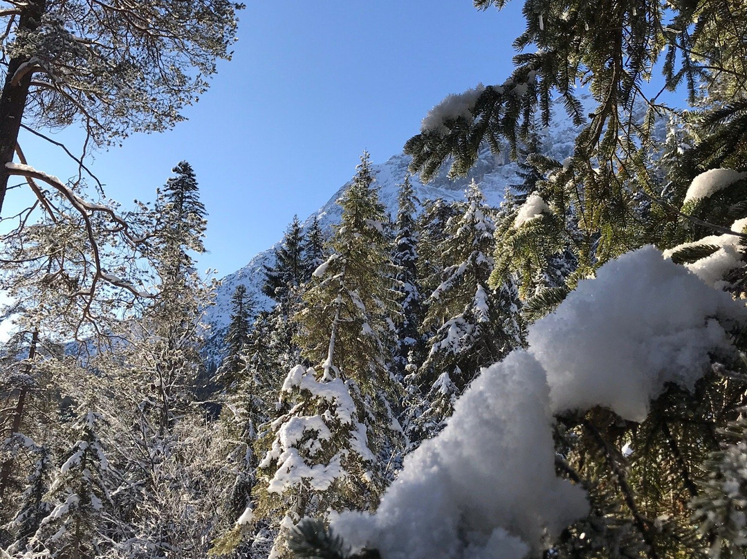 Gasthof - Pension Schaber主图