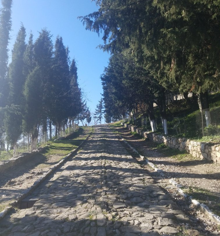 Ardenica Monastery-Ardenice必去景点