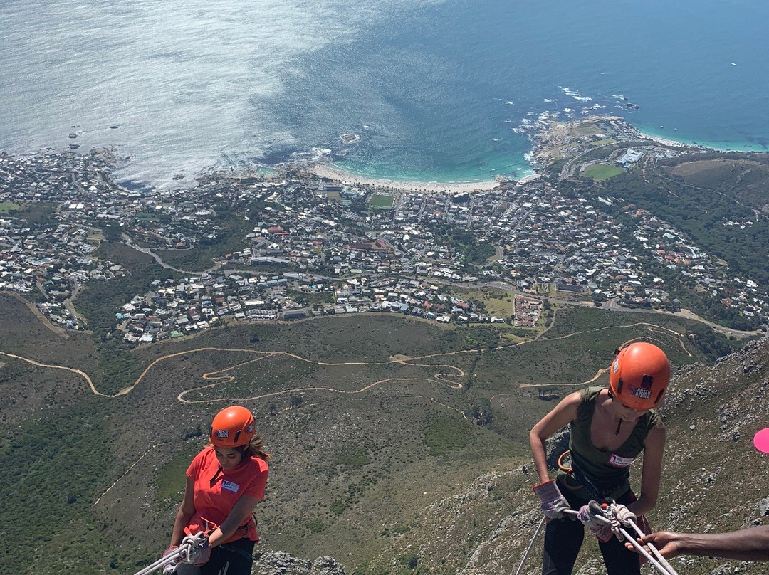 Abseil Africa-桌山国家公园必去景点