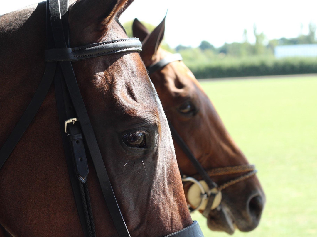 Xperience by Horse-马德里必去景点