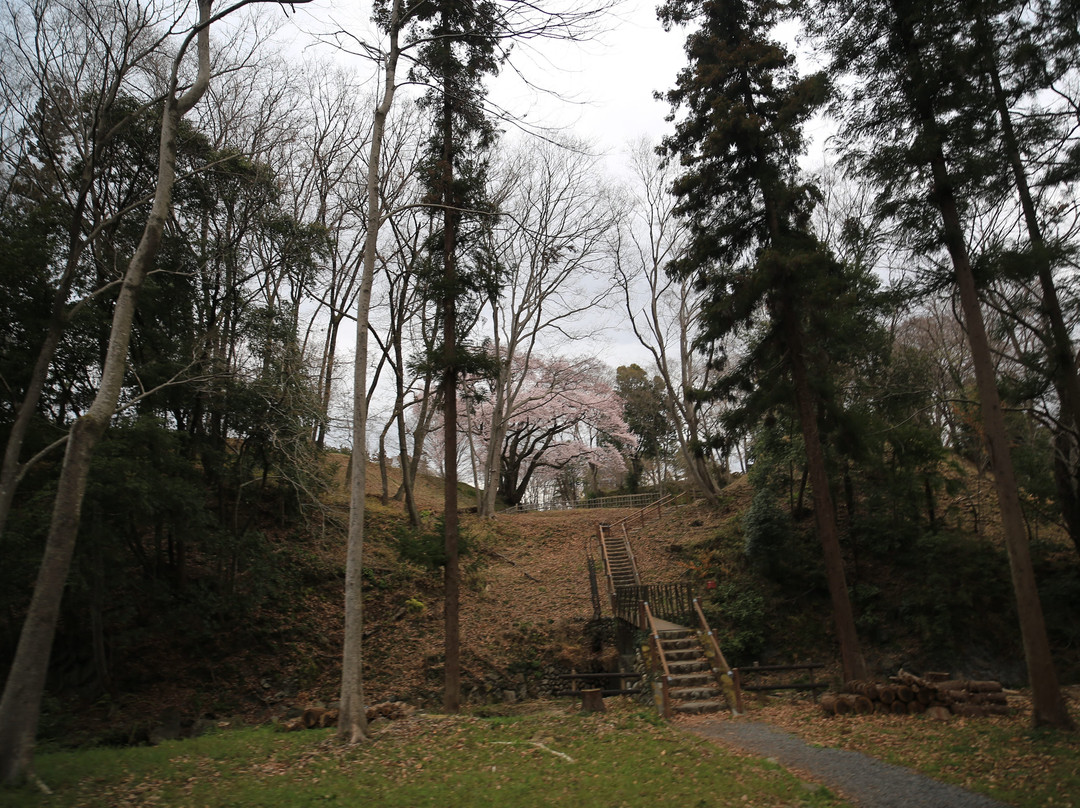 Hachigata Castle Park-寄居町必去景点