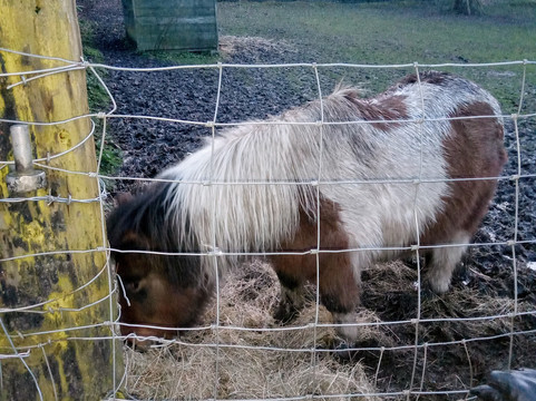 Woodlands Farm Trust-Welling必去景点