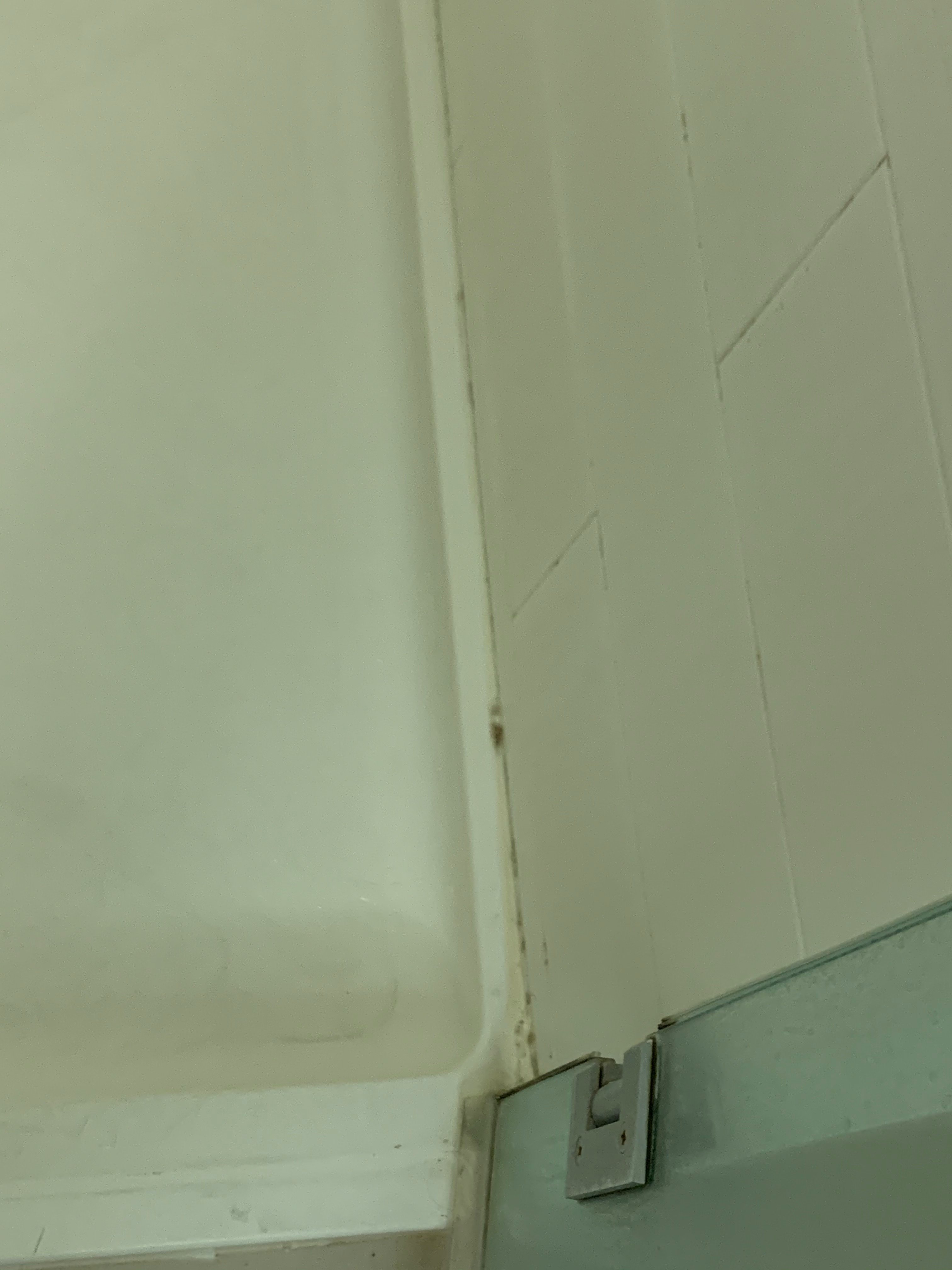 查尔斯湖万豪春季山丘套房酒店-浴室