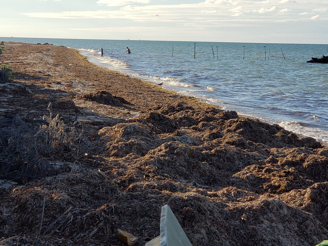 Tecnohotel Beach主图