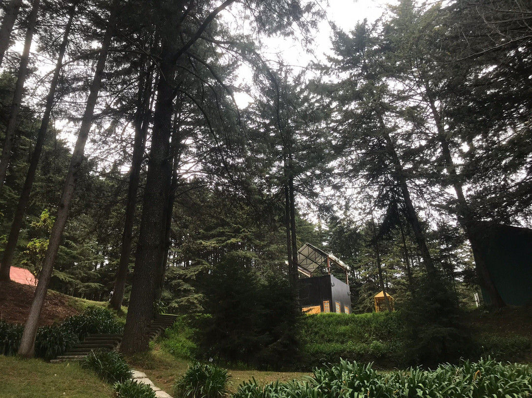 Museo de la Minería-El Oro必去景点