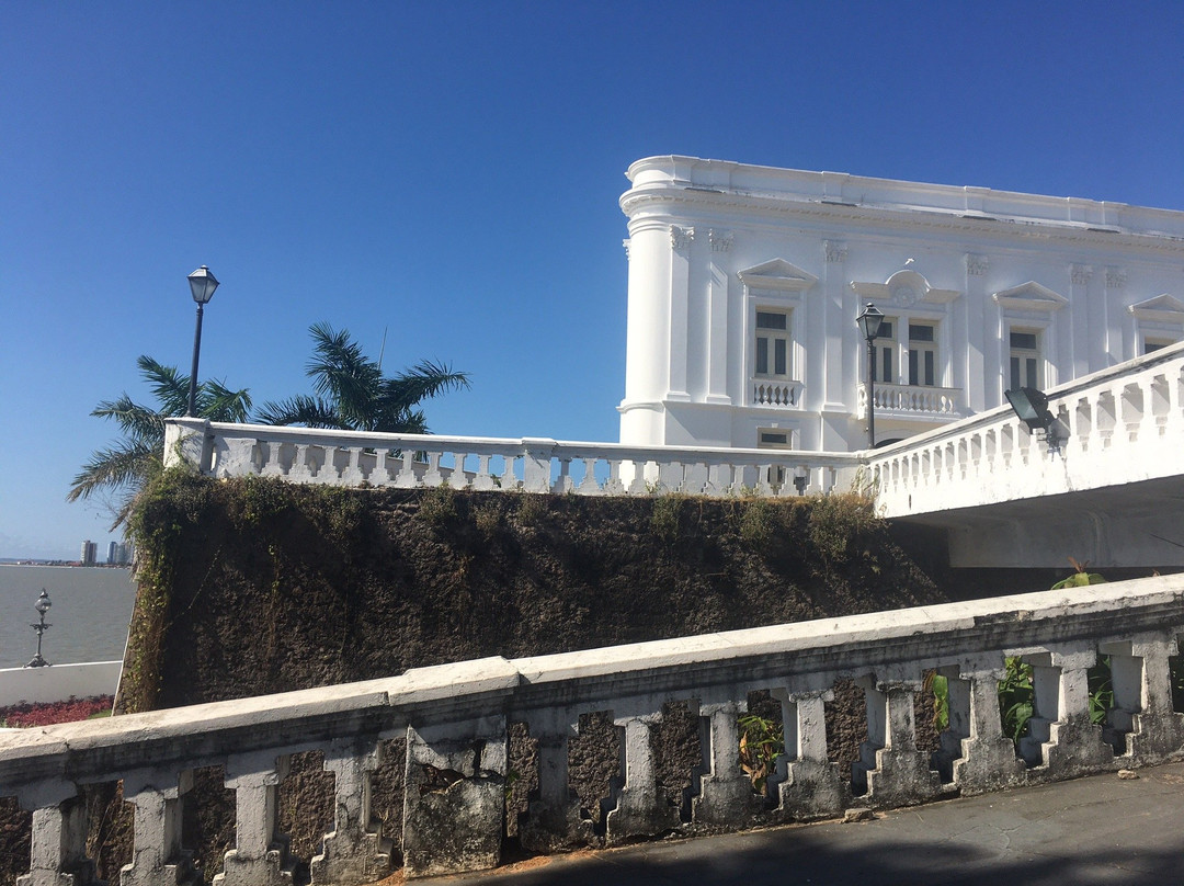 Palacio dos Leoes景点图片