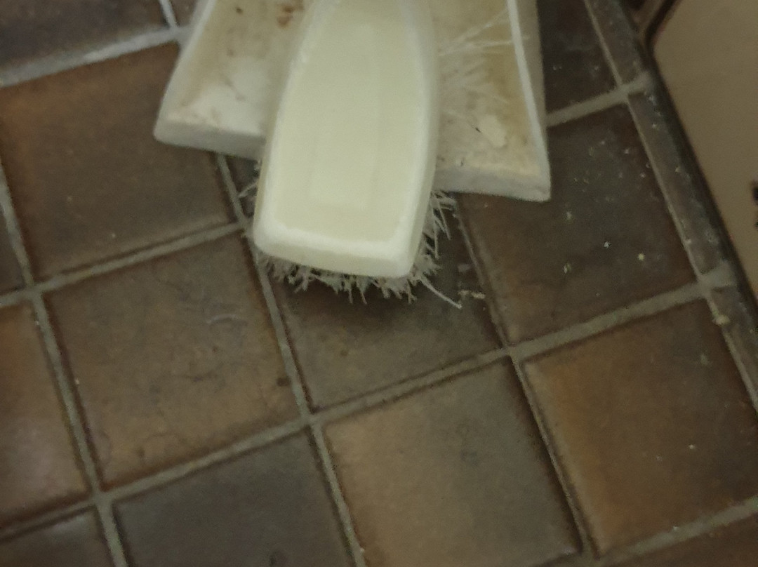 Arabella Motor Inn主图