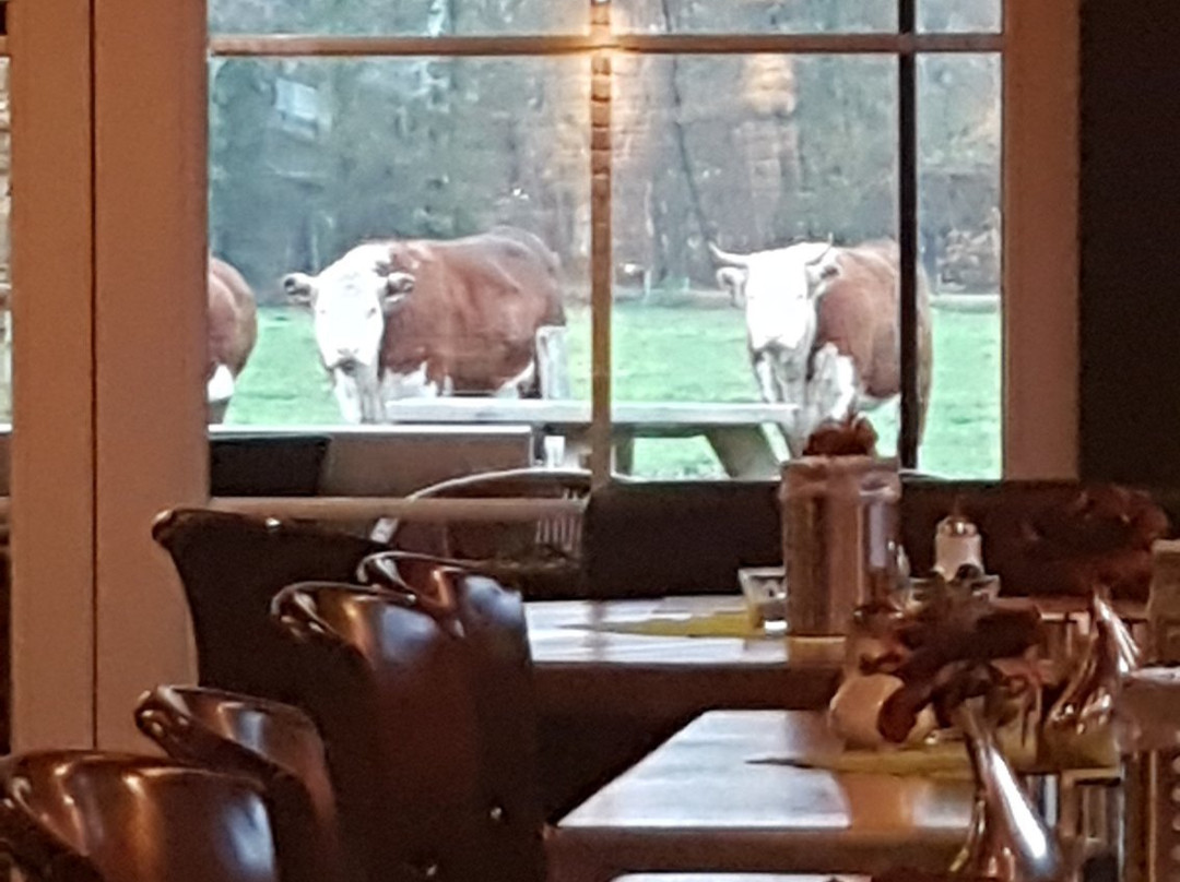 Hotel en B&B Erve Bruggert主图