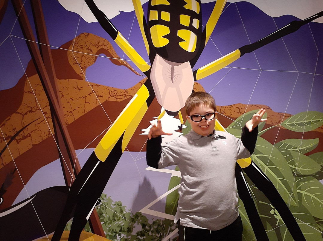 休斯顿自然科学博物馆-休斯顿必去景点