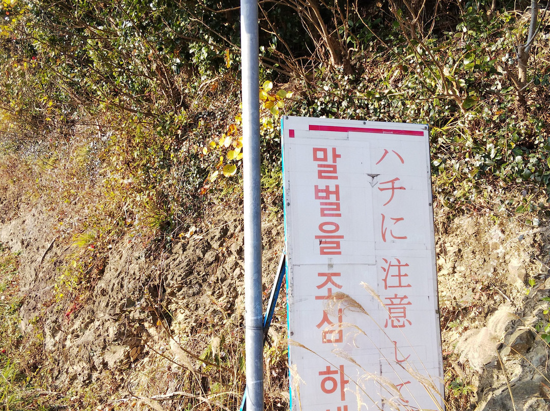 Eboshidake Observatory-对马市必去景点