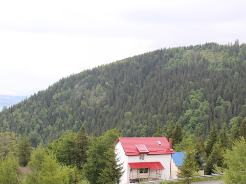 Hunedoara County旅游景点-Tunelul Celor 365 De Sfinti