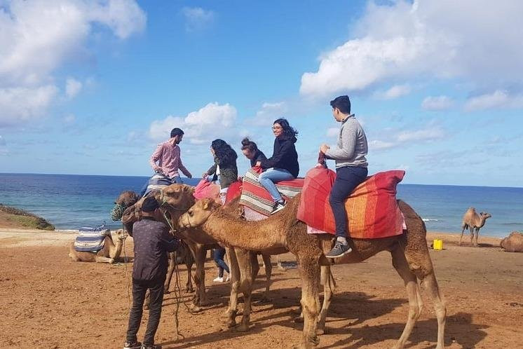 Xauen Tours-丹吉尔必去景点