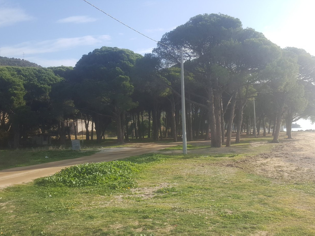 Fistikli Koyu Piknik Alani景点图片