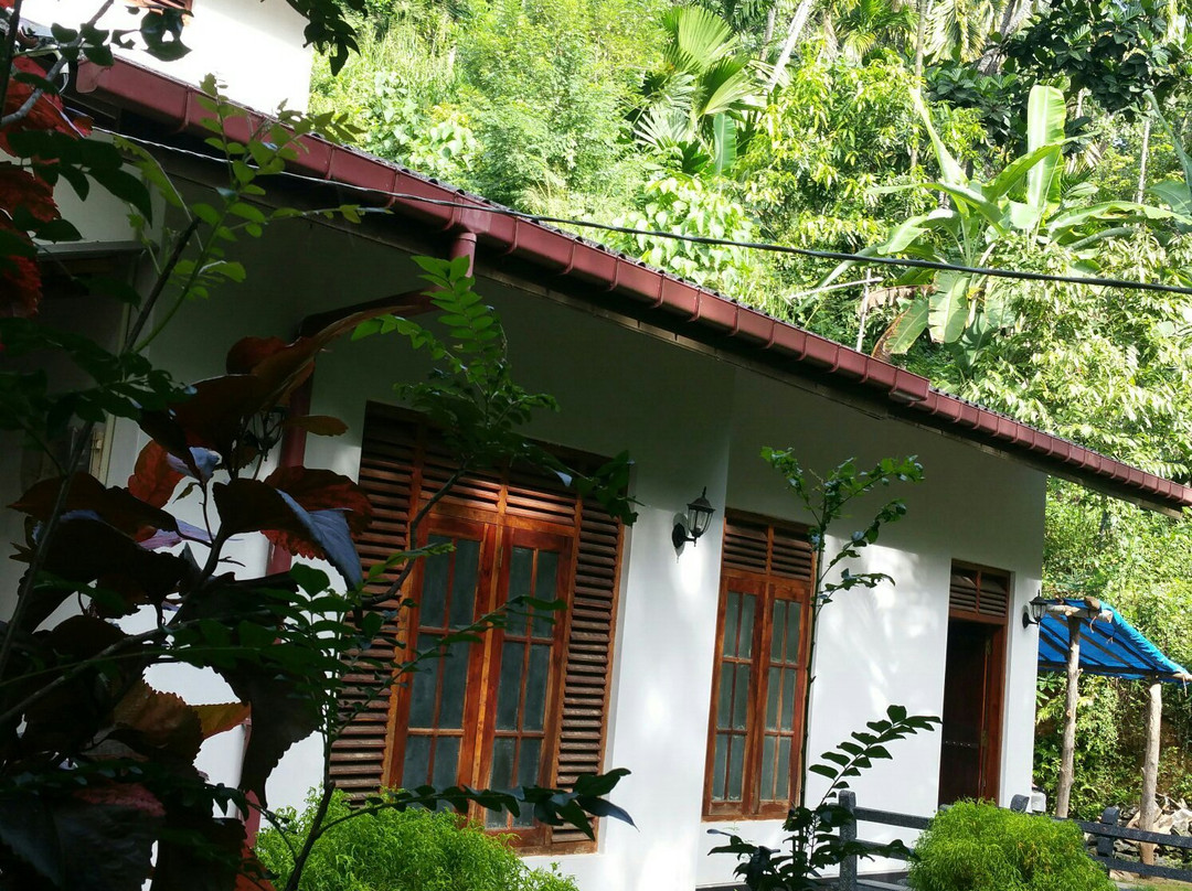 Jungle Village Homestay主图