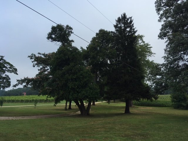 The Hague Winery-Hague必去景点