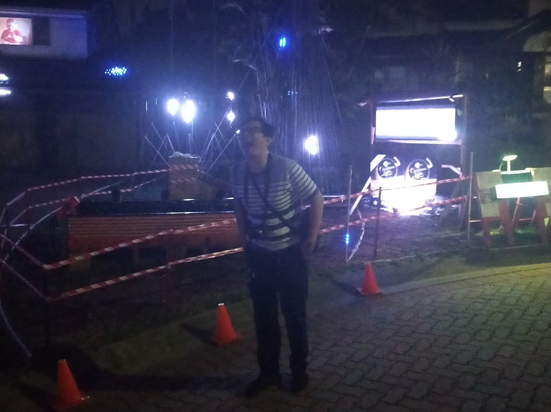 Brisbane Lights Tours景点图片