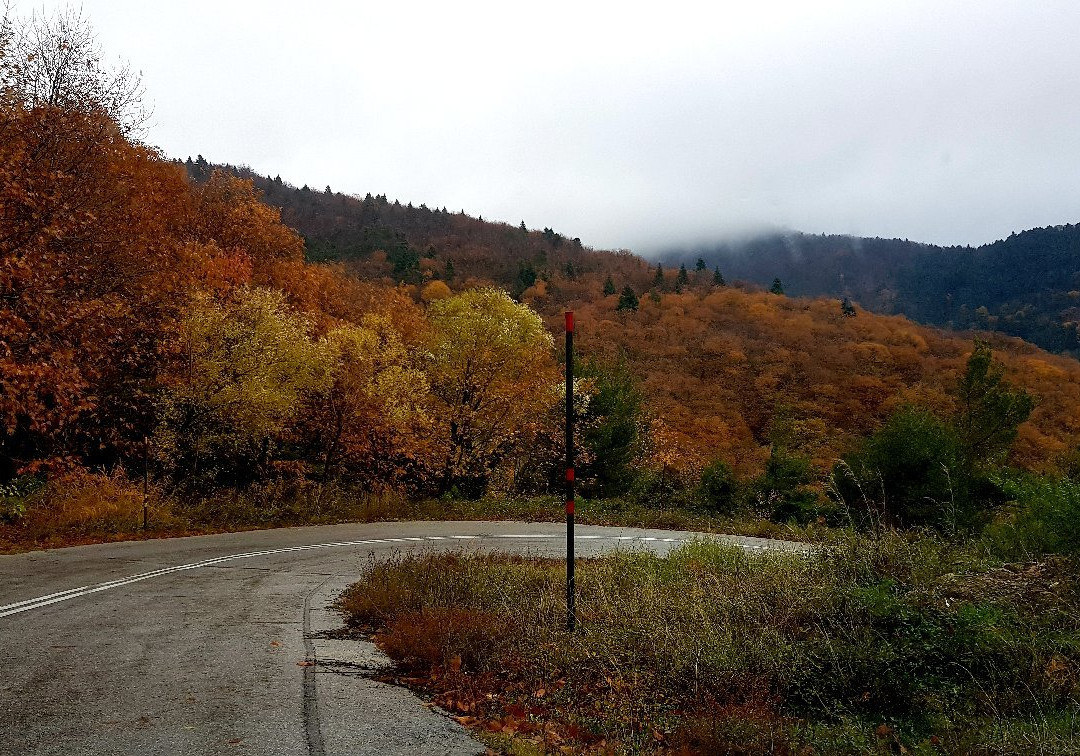 Traditional Guesthouse Nakaraki主图