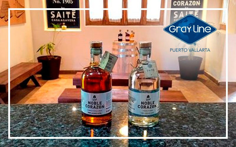 Gray Line Puerto Vallarta-瓦拉塔港必去景点