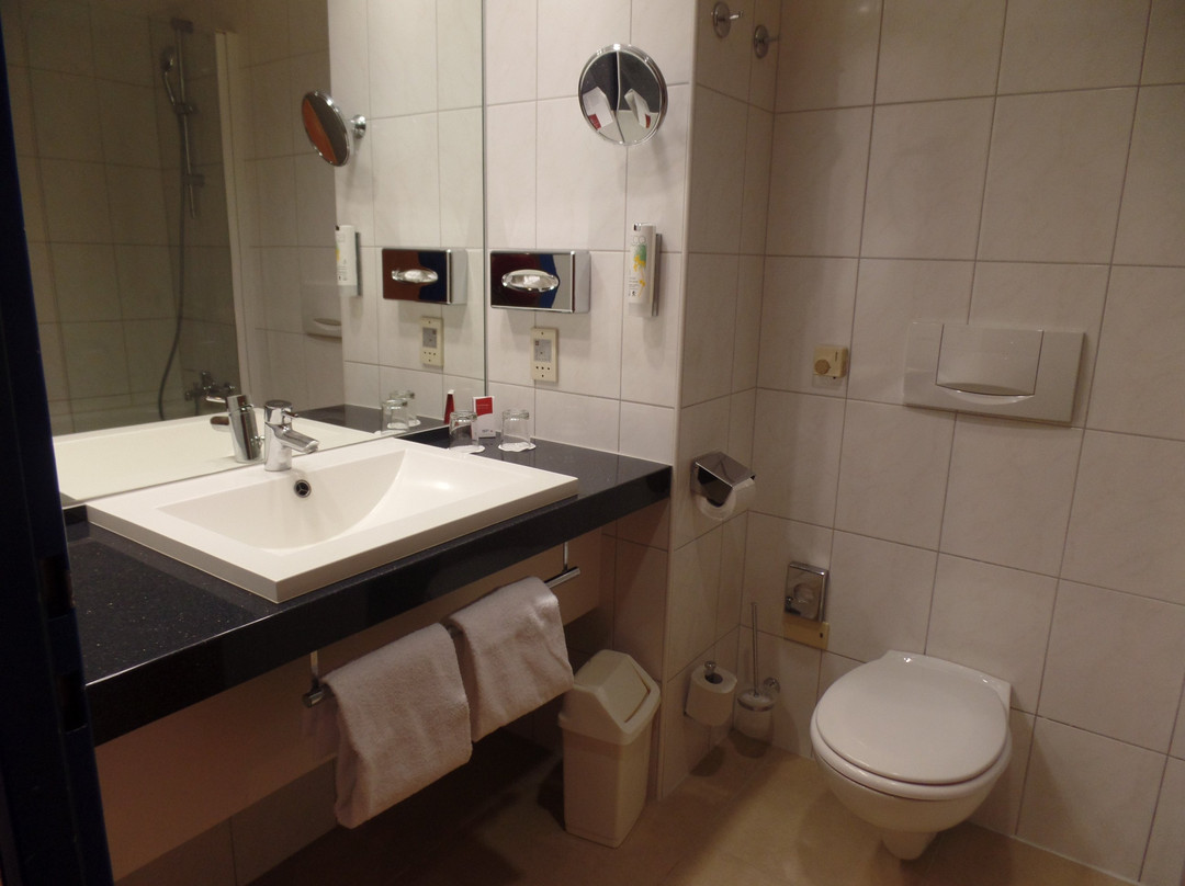 奥地利潮流酒店萨尔斯堡店主图