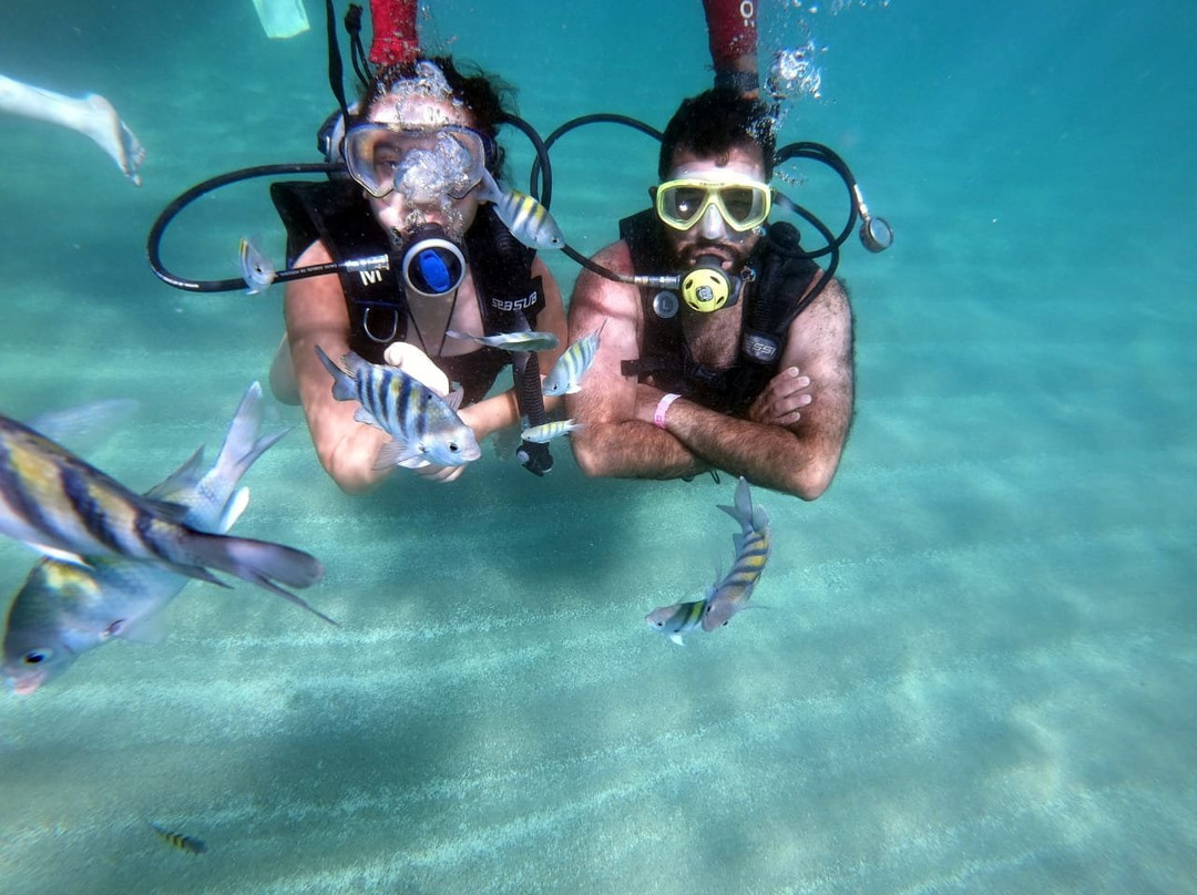 Piscinas Naturais de Barra Grande-Barra Grande必去景点