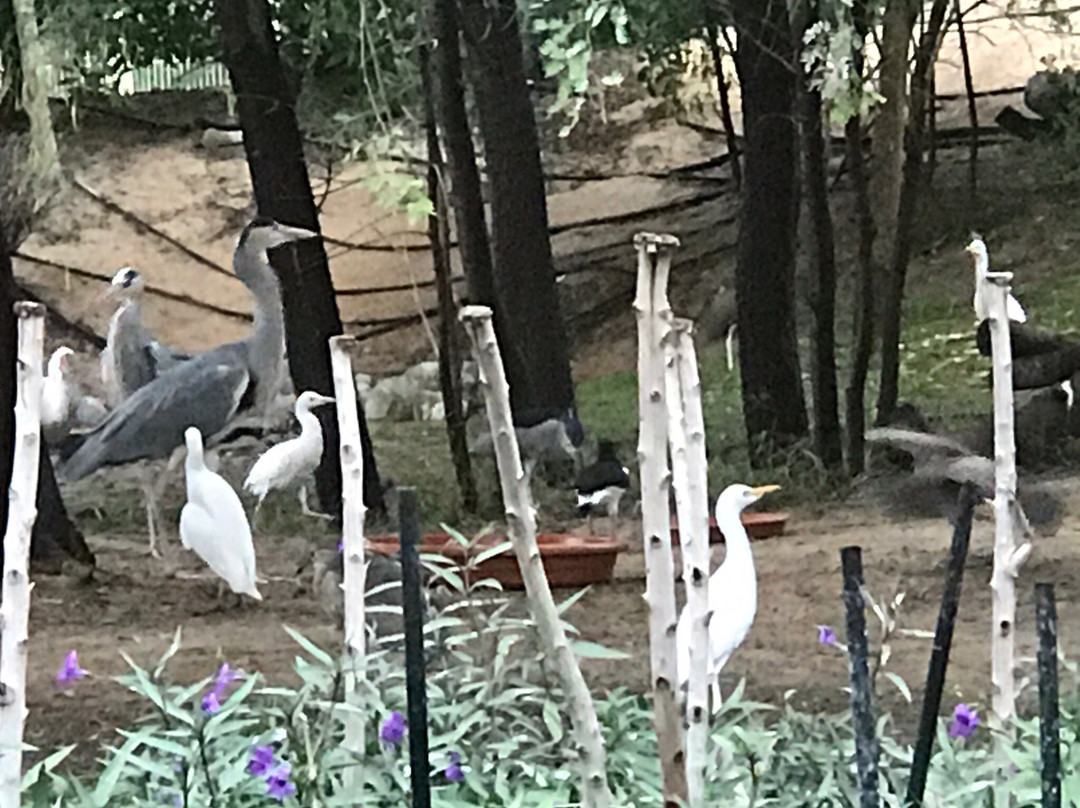 Wasit Wetland Centre-沙迦必去景点