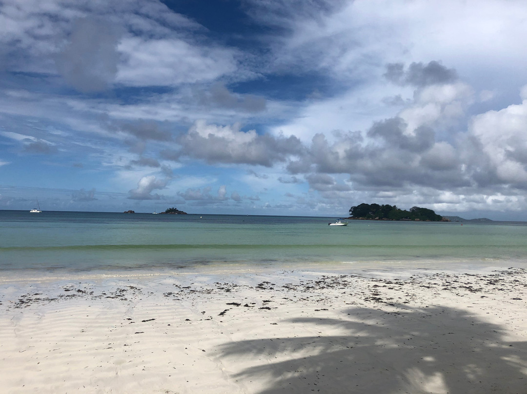 德瓦塔拉海滩酒店主图