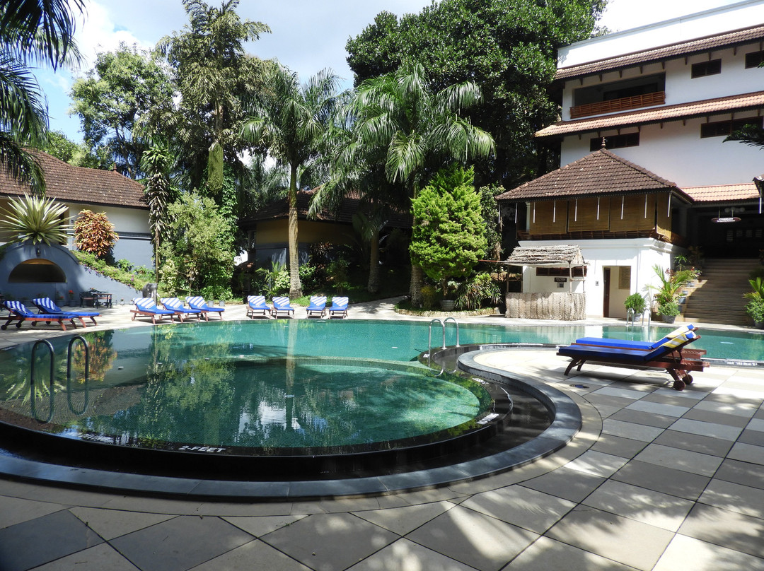 The Elephant Court主图