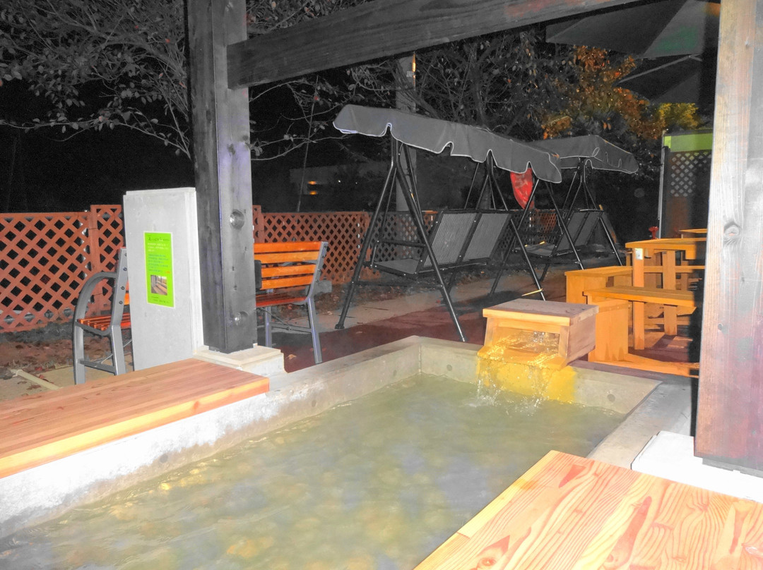 Tennen Hot Spring Asounoyu-长冈市必去景点