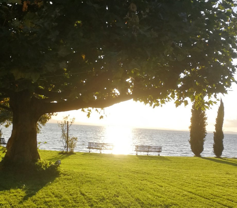 Hotel Haus am See主图