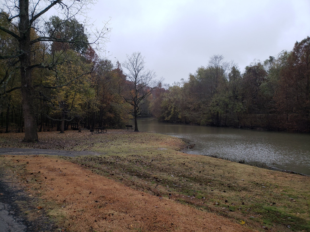 Big Oak Tree State Park-East Prairie必去景点