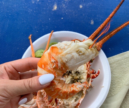 Merrils Beach Resort III主图